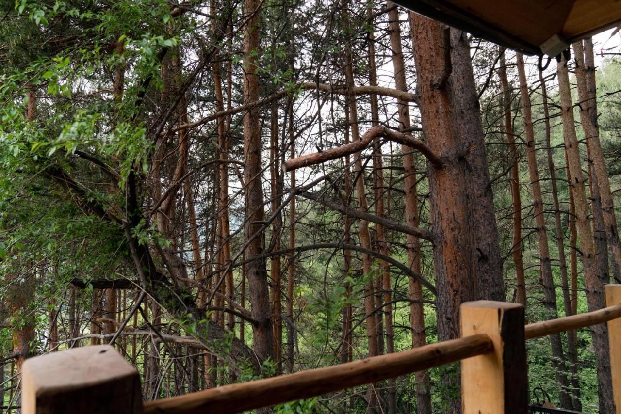 Qazaq Auyl Eco Hotel Almaty Bagian luar foto