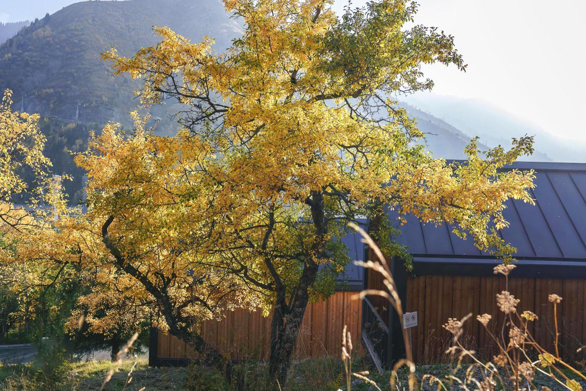 Qazaq Auyl Eco Hotel Almaty Bagian luar foto